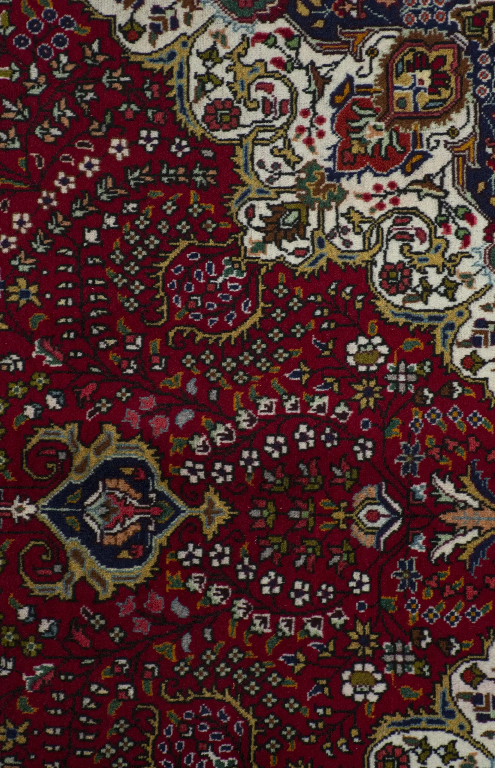 Persian Hand Knotted Tabriz Lamb Wool German Dye Iran (300×196)cm