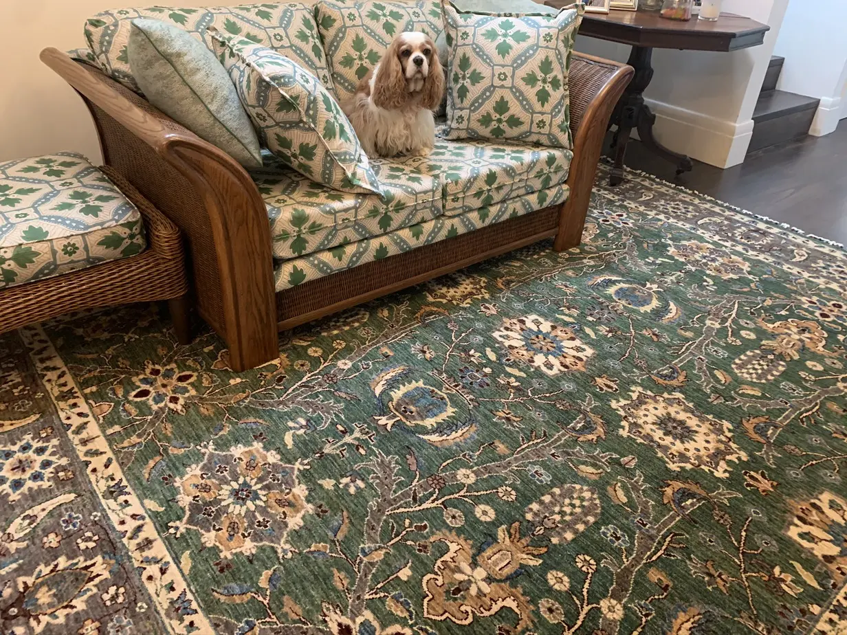 Sarabi's Home Rug Viewings