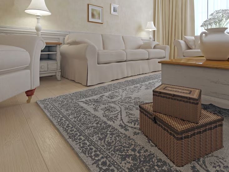 living room rug