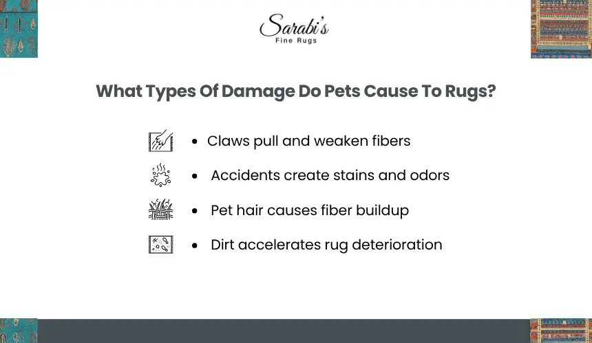 How Do You Prevent Rug Damage From Pets?