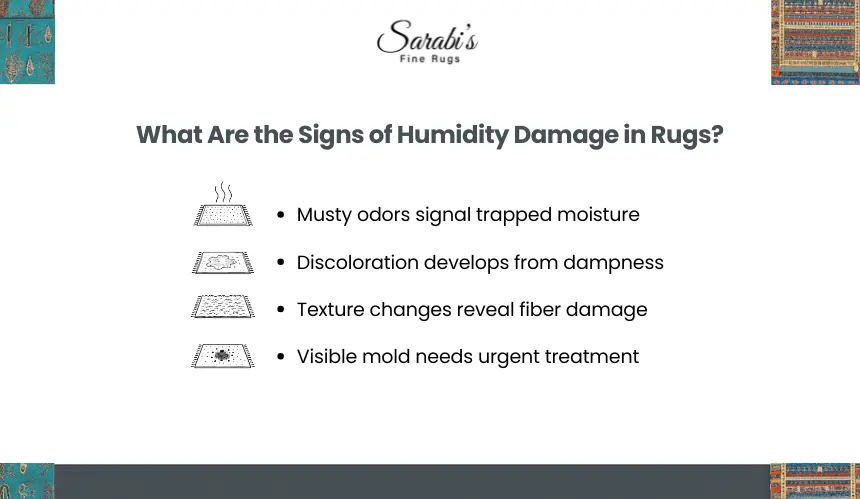 How Do You Protect Rugs from Sydney’s Coastal Humidity?