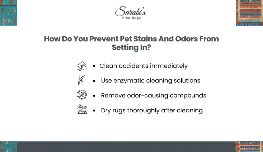 How Do You Prevent Rug Damage From Pets?