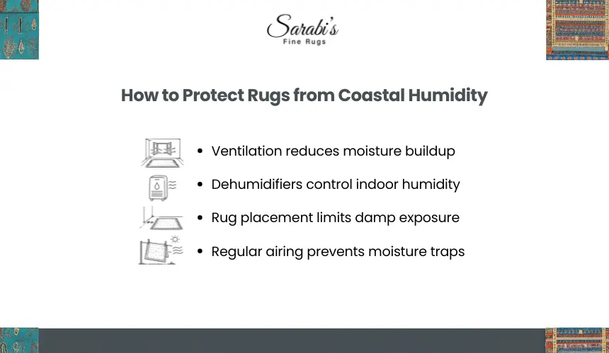 How Do You Protect Rugs from Sydney’s Coastal Humidity?